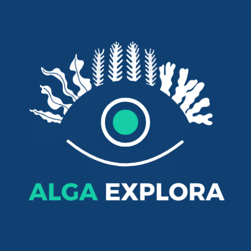 Alga Explora CR