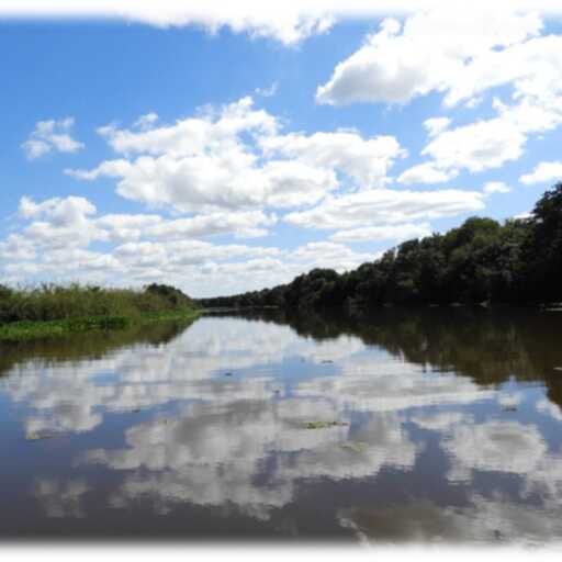 Campichuelo Vegetacion Abril 2026