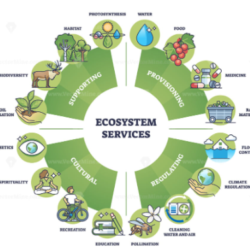Ecosystem Services Assessment