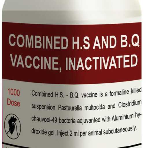 HS and BQ Vaccination Samtse