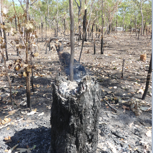 Kakadu fire regime transects
