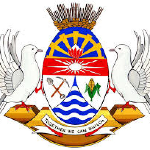 Epicollect5 Lejweleputswa CHW Validation