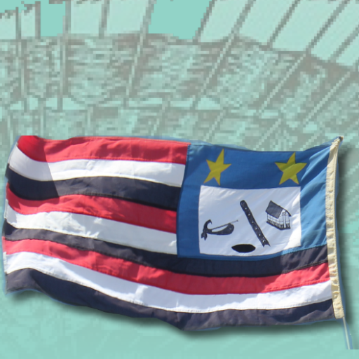 Epicollect5 Niutao SES Survey