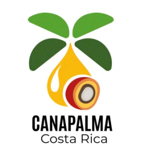 Reporte Unidad Tecnica CANAPALMA